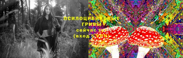 марки nbome Богданович